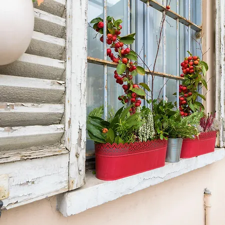 Apartment Bnbutler - Sarpi Milan